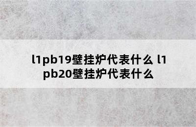 l1pb19壁挂炉代表什么 l1pb20壁挂炉代表什么